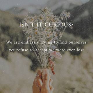 iPhone poem wallpaper