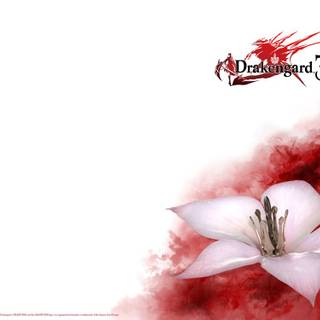 Drakengard wallpaper