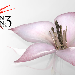 Drag-On Dragoon wallpaper