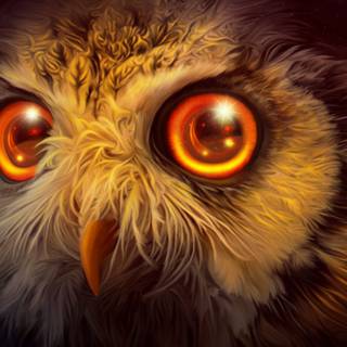 Owl eyes wallpaper