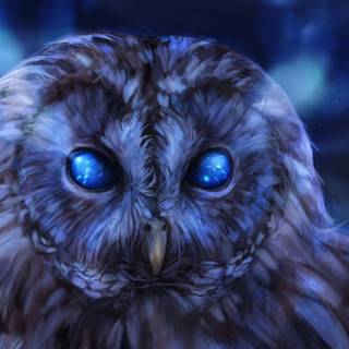 Owl eyes wallpaper