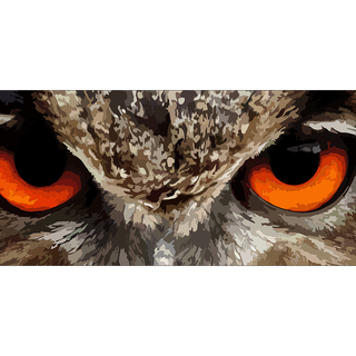 Owl eyes wallpaper