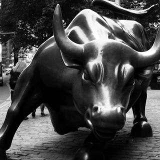 Market bull wallpaper