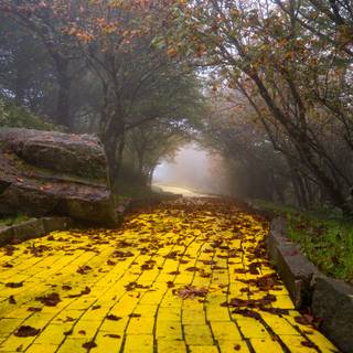 Brick road wallpaper