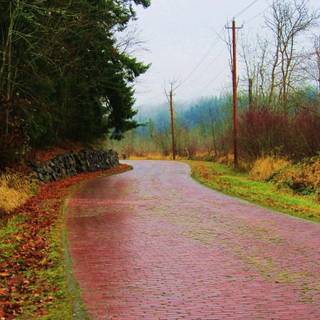 Brick road wallpaper