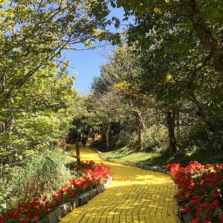 Brick road wallpaper