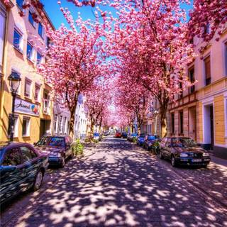 Brick road wallpaper