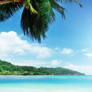 Redmi Note 10 wallpaper