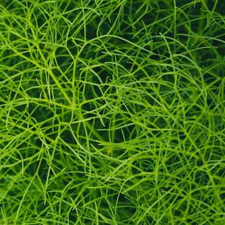 Redmi Note 10 wallpaper