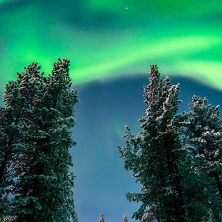 Redmi Note 10 wallpaper