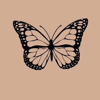 Black and beige wallpaper