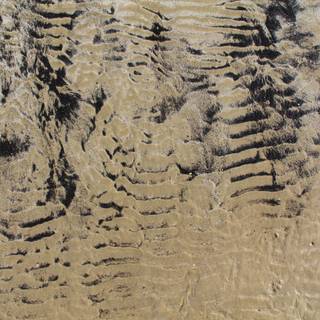 Black and beige wallpaper