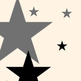 Black and beige wallpaper