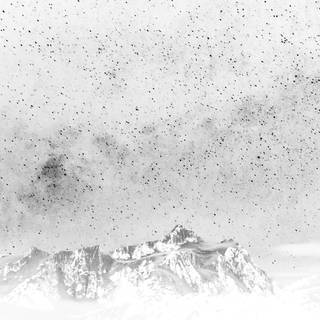 White night wallpaper