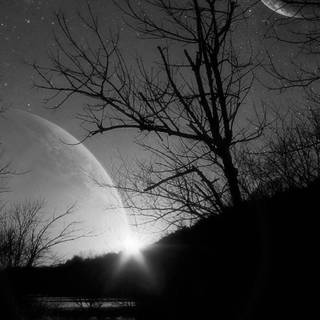 White night wallpaper