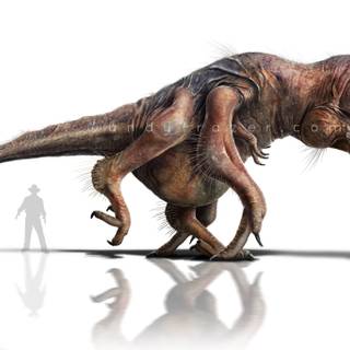 Distortus Rex wallpaper