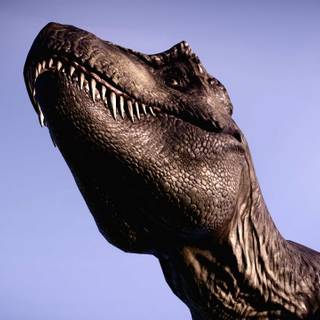 Distortus Rex wallpaper