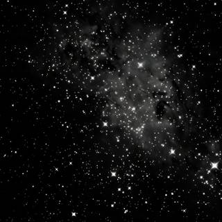 White night wallpaper