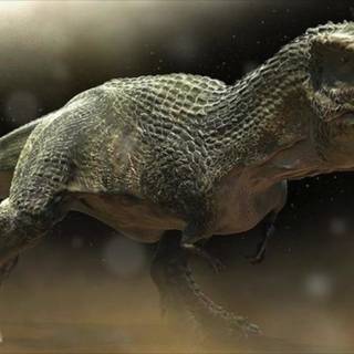 Distortus Rex wallpaper