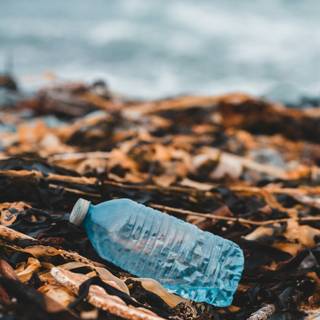 Plastic bottles wallpaper