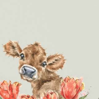 Cow flowers wallpaper