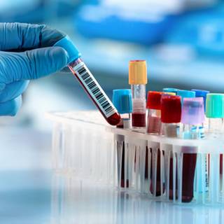 Pathology lab wallpaper