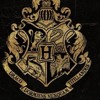 Harry Potter phone wallpaper