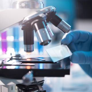 Pathology lab wallpaper