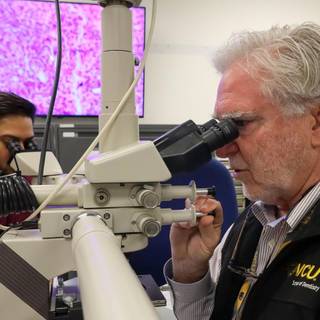 Pathology lab wallpaper