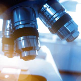 Pathology lab wallpaper