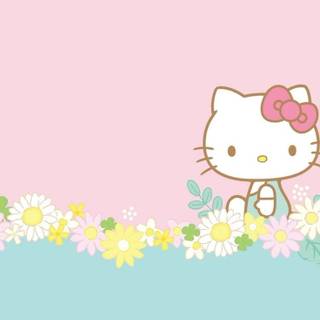 Sanrio spring iPhone wallpaper