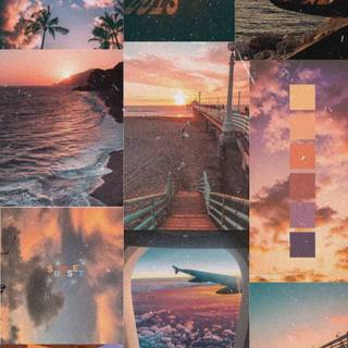 Summer aesthetic vibes wallpaper