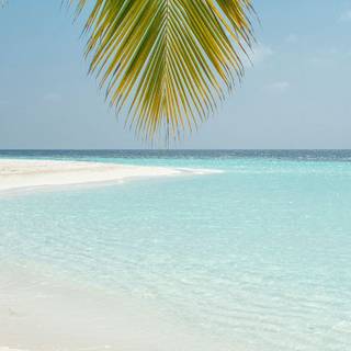 Clean summer beach wallpaper