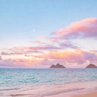 Clean summer beach wallpaper