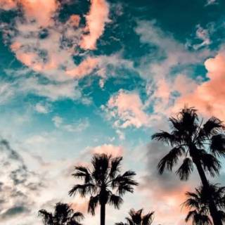 Summer aesthetic vibes wallpaper