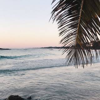 Clean summer beach wallpaper