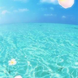 Clean summer beach wallpaper