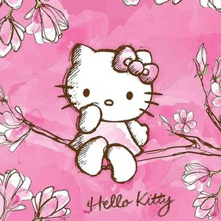 Hello Kitty spring vibes wallpaper