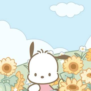 Sanrio spring phone wallpaper