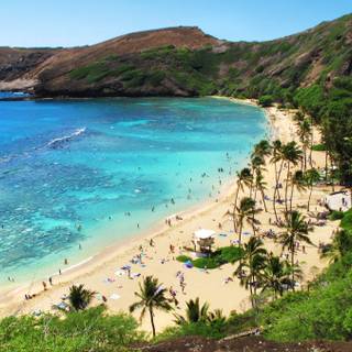 Clean summer beach wallpaper