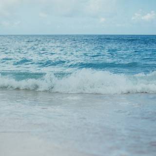 Clean summer beach wallpaper