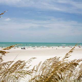 Clean summer beach wallpaper