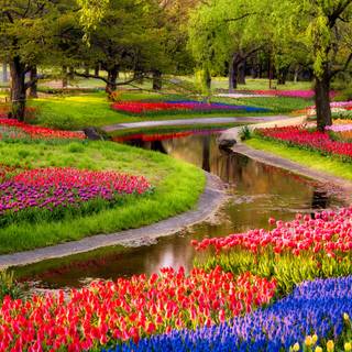 1600x900 spring garden wallpaper