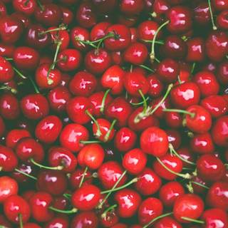 Summer cherries desktop wallpaper