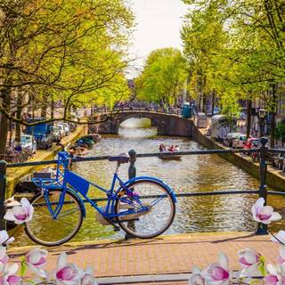 Bicycle spring PC wallpaper