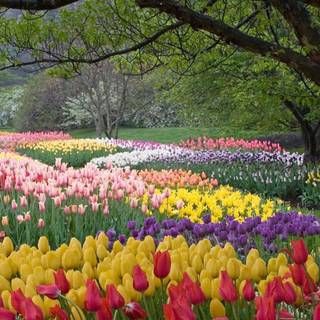 1600x900 spring garden wallpaper