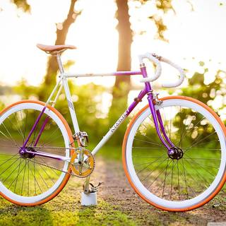 Bicycle spring PC wallpaper