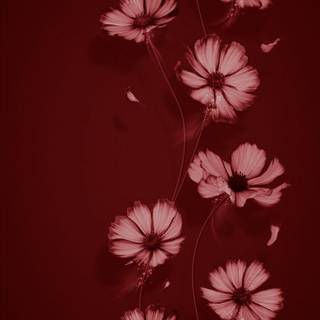 Pink and red spring wallpaper