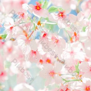 Pink and red spring wallpaper