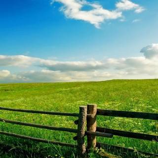 1600x900 spring garden wallpaper